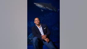 Georgia Aquarium CEO passes away; ‘limited operations’ as staff mourns loss