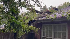 Storm sends tree crashing through home in Canton; knocks out power to thousands