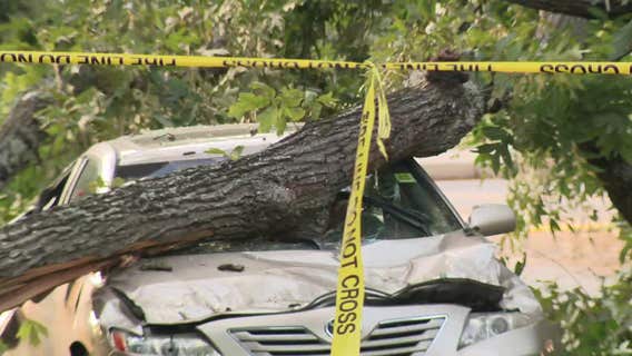 Tree topples on passing car injures 2, disrupts power in Stone Mountain