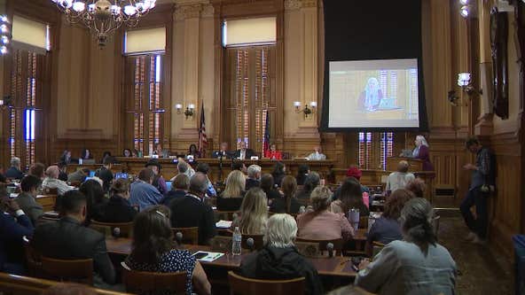 Georgia State Election Board creates committee to consider new rule changes