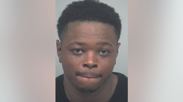 Gwinnett K9 officer helps apprehend man who ran from police