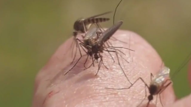 West Nile virus cases on the rise in 30 states, including Georgia