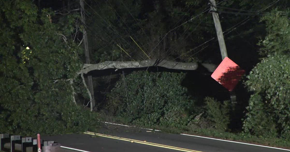 Fallen tree blocks Briarcliff Road, knocks out power | FOX 5 Atlanta