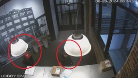 Mailroom burglars caught on camera stealing packages