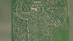 Georgia corn maze ranked as one of top 10 in nation