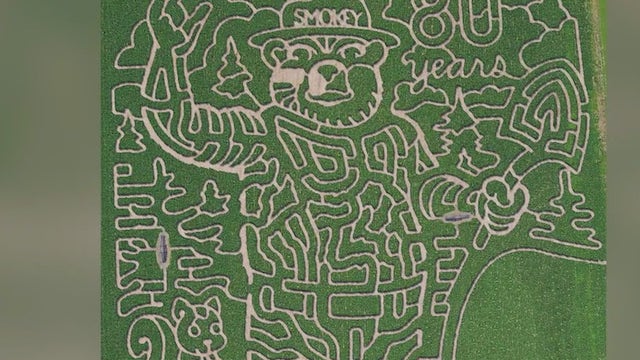 Georgia corn maze ranked as one of top 10 in nation