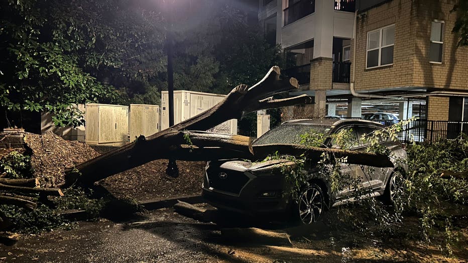 A tree fell on a car at an apartment complex parking lot along Inman Village Parkway in Atlanta on Sept 25, 2024.