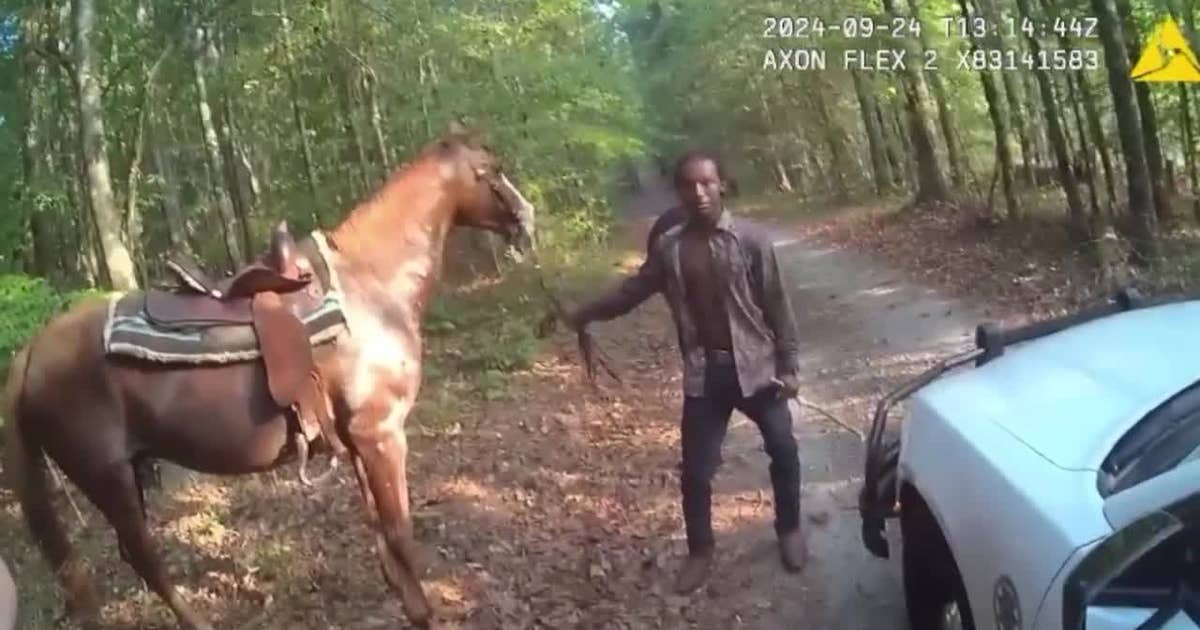 Coweta County man arrested for horrific animal abuse captured on video ...
