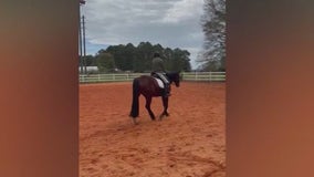 Miracle survivor: Carol Rankin defies odds after rare, deadly stroke while horseback riding