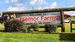 Photos: Fall and Halloween festivities at Jaemor Farms | 2024