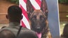 Coweta County K-9 officer killed during chase honored during service