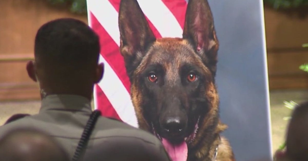 Coweta County K-9 officer killed during chase honored during service ...