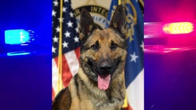 New K-9 deputy joining Fayette County Sheriff's Office