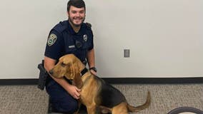 Good boy! Newnan police dog sniffs out missing elderly person