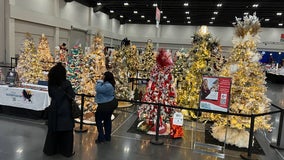 Bidding on a Christmas tree in Duluth combats sex trafficking