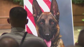 Coweta County K-9 officer killed during chase honored during service