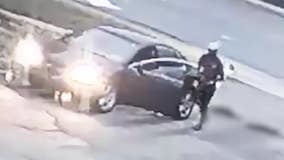 Reward offered for suspect accused of dragging dogs behind car in DeKalb County