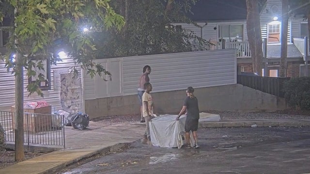 Young pit bull killed in Cobb County, video could show the culprits