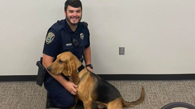 Good boy! Newnan police dog sniffs out missing elderly person