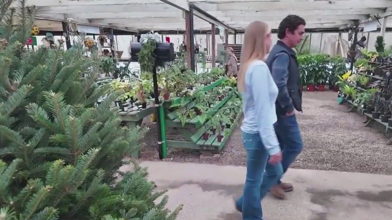 Couple helps hard-hit North Carolina farmers one Christmas tree at a time Couple helps hard-hit North Carolina farmers one Christmas tree at a time