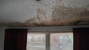 Griffin renter's apartment moldy, wet 12 weeks after Hurricane Helene