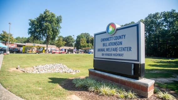 Gwinnett County animal shelter temporarily closed after 3 dogs die from Strep Zoo