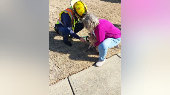 Firefighters rescue cat from Lawrenceville fire sparked near trash can in garage