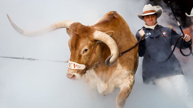 Bevo can't hook 'em in Atlanta, Chick-fil-A Peach Bowl organizers announce