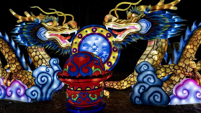 PHOTOS: IllumiNights at Zoo Atlanta | 2024