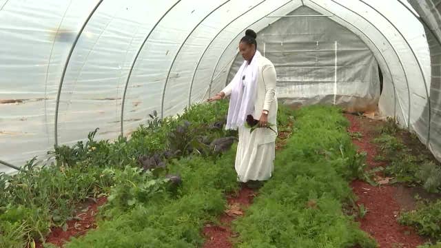 Holiday compost can help metro Atlanta farmers