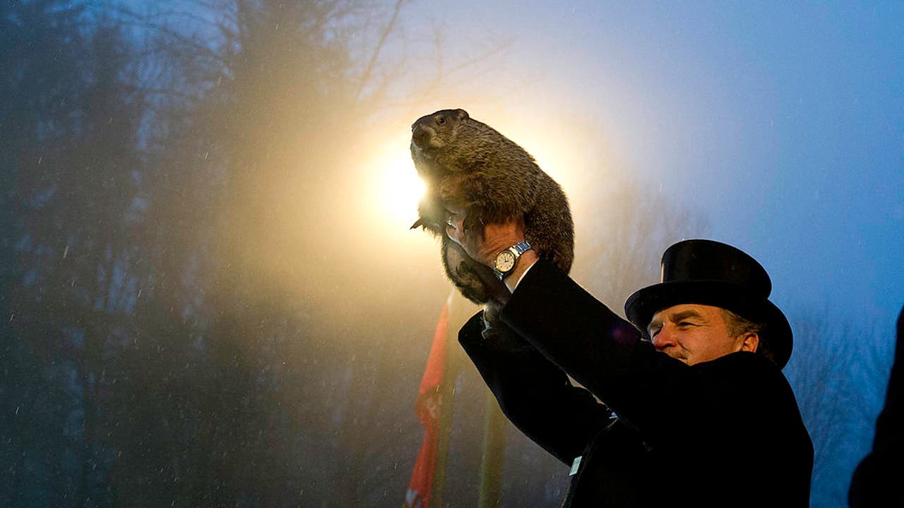 groundhog day 2025 live cam