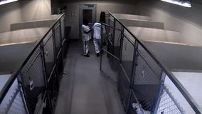 Clayton County police debunk viral video claims of dog abuse at animal shelter