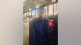 Convicted felon facing animal cruelty charges after arrest in Fulton County