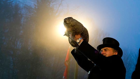 Groundhog Day weather forecast: Clouds could impact Punxsutawney Phil's prediction