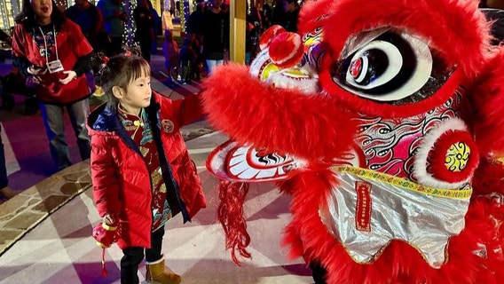 Lunar New Year celebrations in metro Atlanta | 2025
