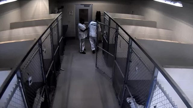 Clayton County police debunk viral video claims of dog abuse at animal shelter