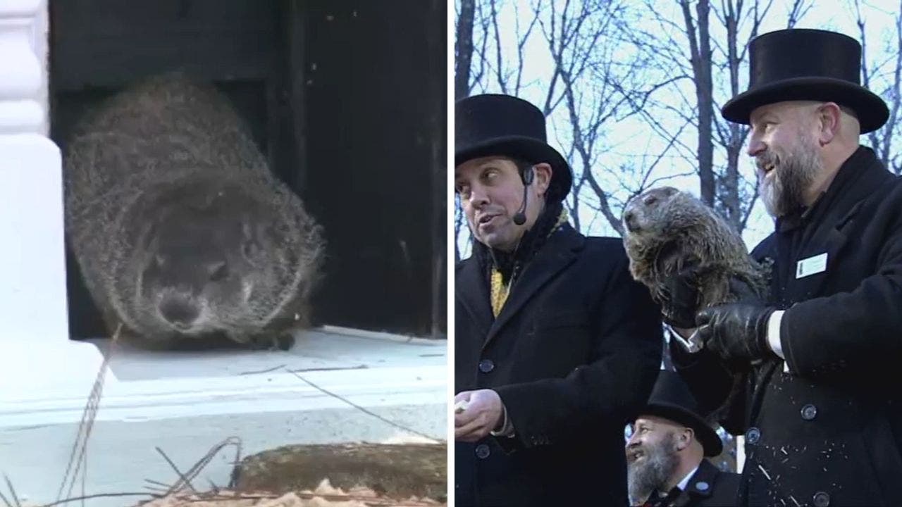 Groundhog Day 2026 predictions taking place early Monday