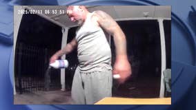 Sandy Springs man sentenced to 11 years for stabbing fiancée's dog