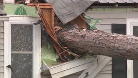 Large tree falls on home in Troup County, narrowly missing 2-year-old