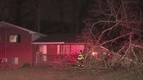 Tree crushes car and carport at SE Atlanta home, no injuries