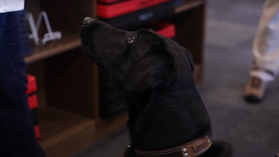 Cobb County adds new gun and explosive-sniffing dogs to schools