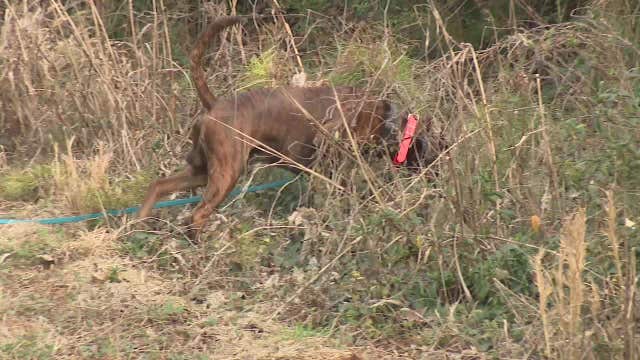 'Skull' found by Lawrenceville construction workers, police investigating