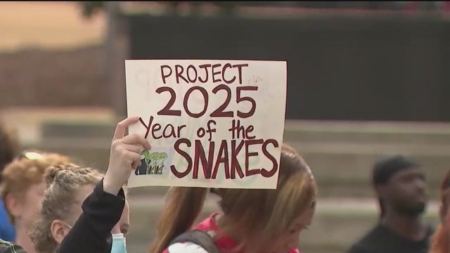 Protesters rally at Georgia State Capitol against President Trump, Project 2025