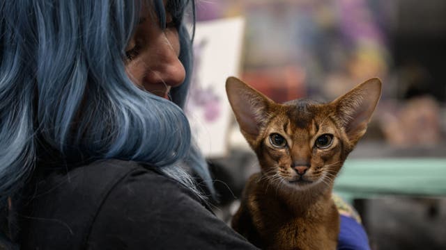 Pets are the real MVPs on Valentine's Day, especially with Gen Z, study says