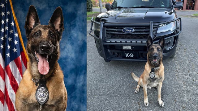 'Good boy': Marietta police mourn loss of beloved retired K9 officer