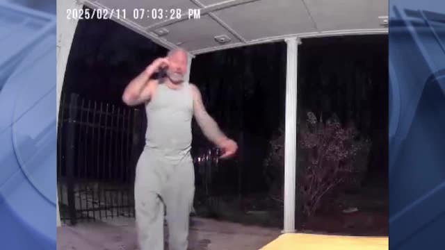 Man indicted for stabbing fiancée's dog to death and attempting cover-up