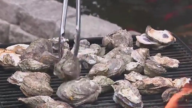 Aw, shucks! Steamhouse Lounge Oysterfest returns this weekend