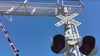 Trains stopped at railroad crossings for hours hurting business, cafe owner says