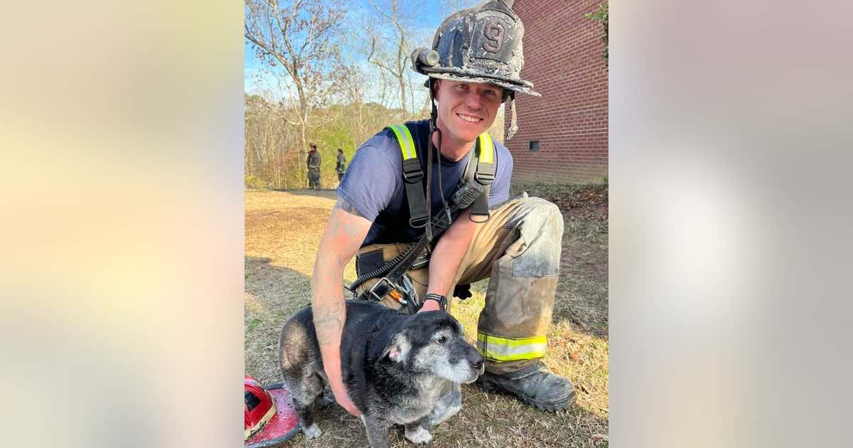Firefighters rescue dog from burning Carroll County home | FOX 5 Atlanta