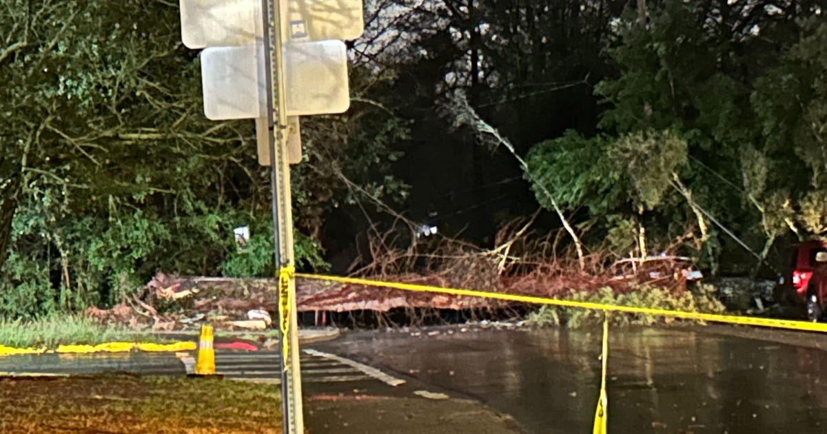 Severe storms, falling trees leave over 8K Georgians without power ...